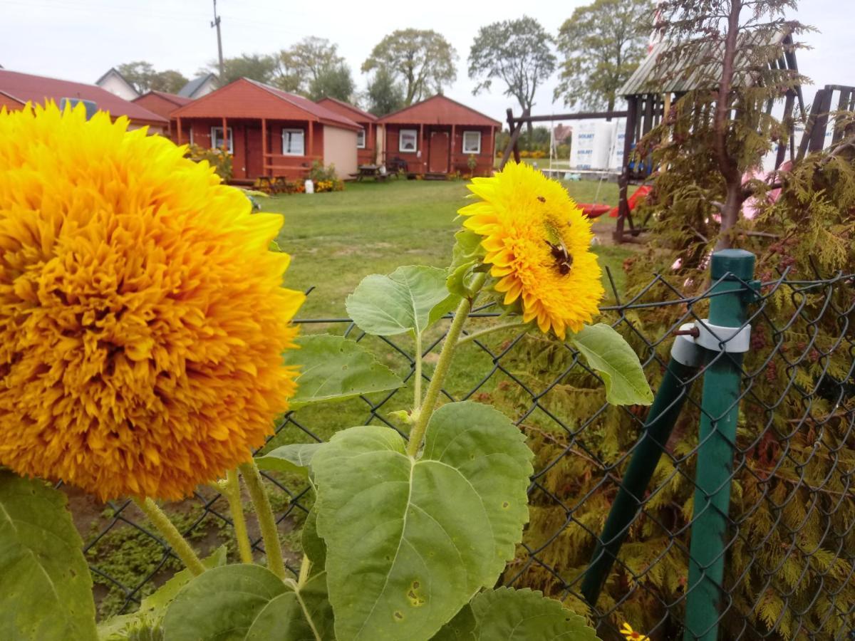 Agroturystyka Domki Eden Sarbinowo Extérieur photo